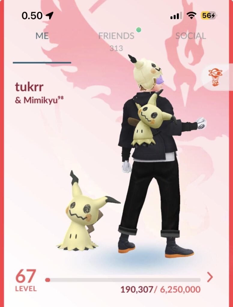 I absolutely love her, so happy that we got Mimikyu in game!