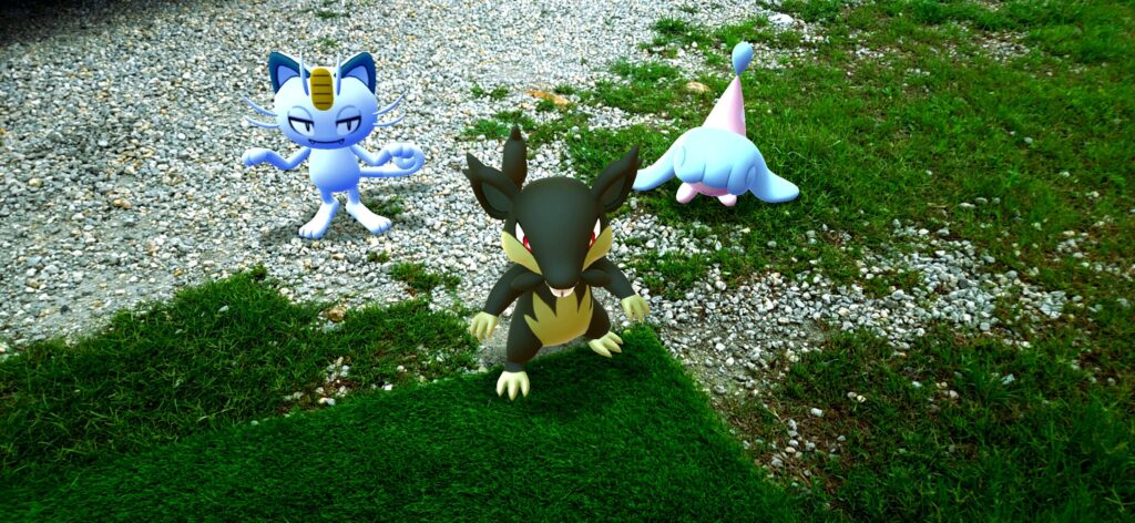lil beginner squad pic