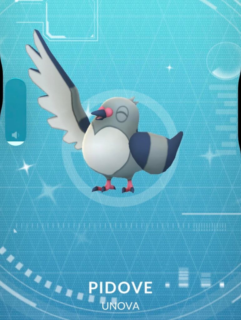 just caught a shiny Pidove, he so happy!! happy boyy!!!