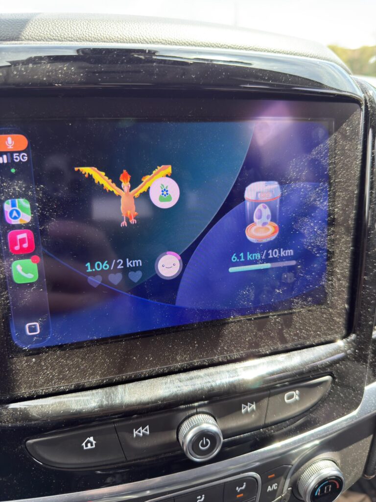 pogo in the dash