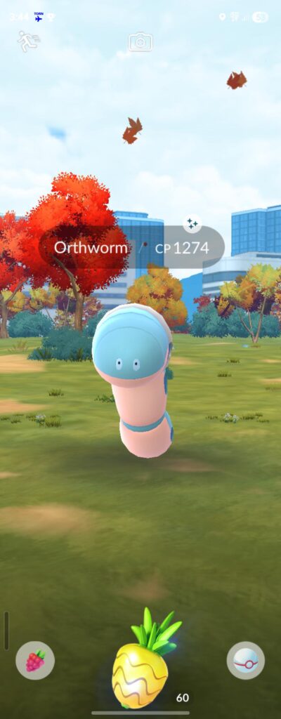 Pokemon gods has blessed me