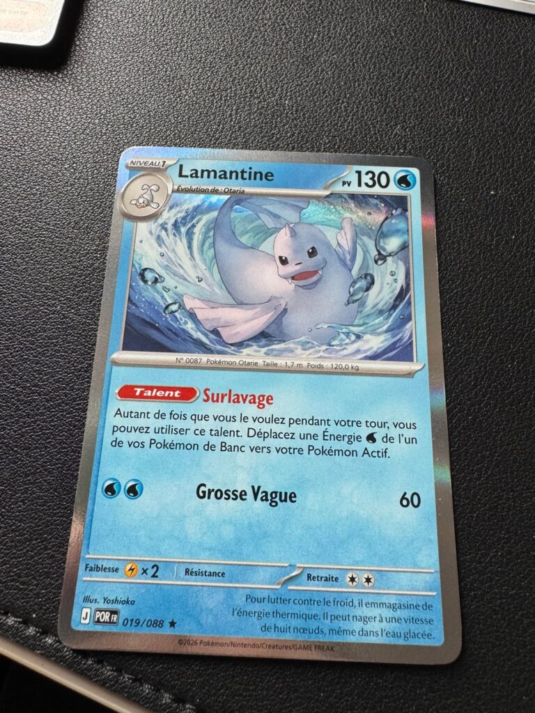 Pokémon : PokéCardex difference between normal/reverse/non holo