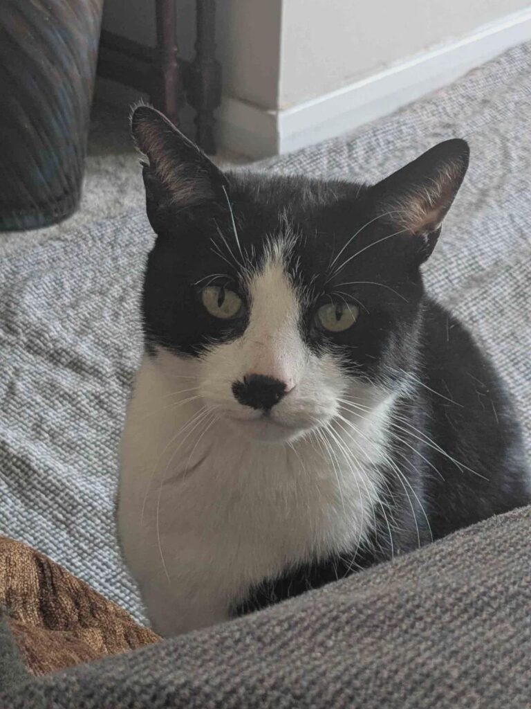 Do you guys use collectr?