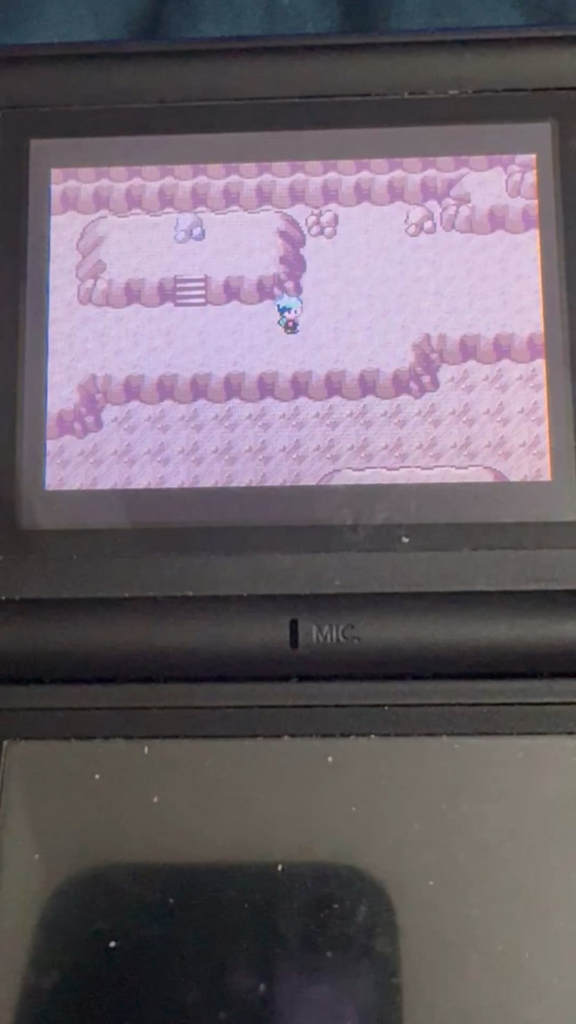 Any idea why Pokémon Emerald doing whatever this is?