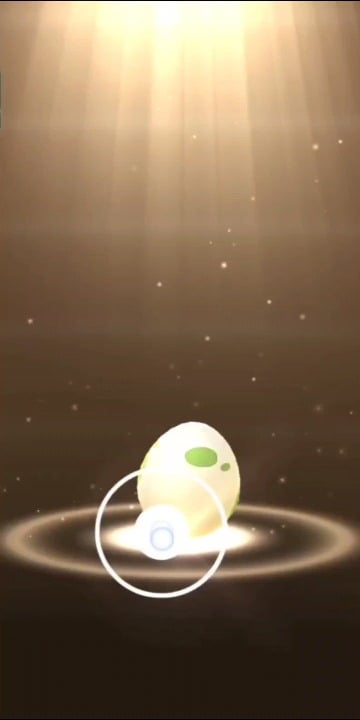 First 9 eggs of the Riolu hatch day