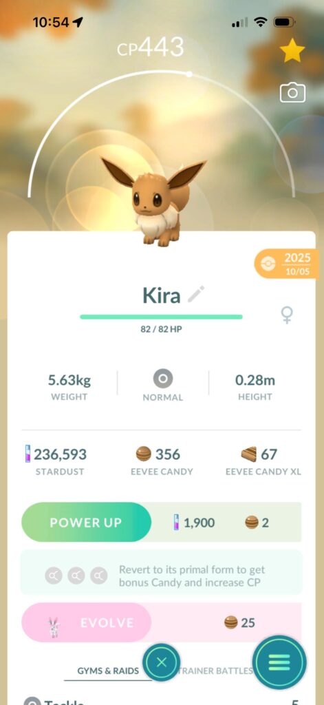 Primal Eevee Confirmed