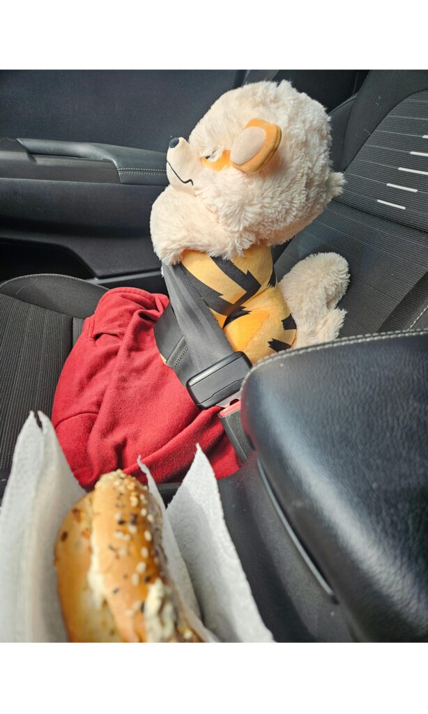 POV: You're approaching 27 with an Arcanine strapped in and a toasted cream cheese bagel in the designated toasted cream cheese bagel slot