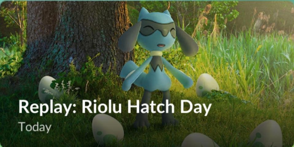 Riolu hatch day