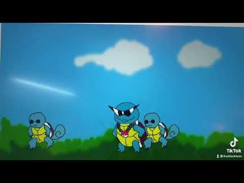 POV , you are about to get WRECKED by the squirtle squad!