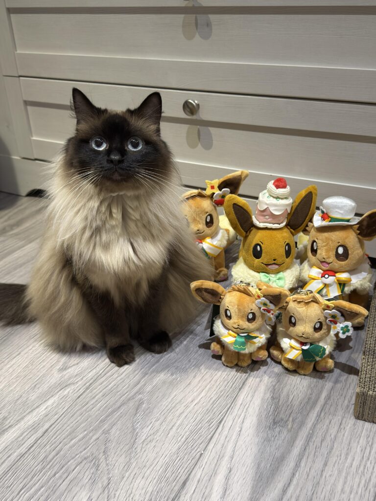 PokéPark Kanto Eevee Family