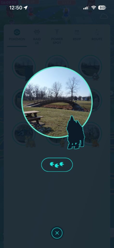What Pokémon is this?