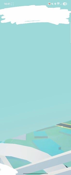 anyone else get this bug?