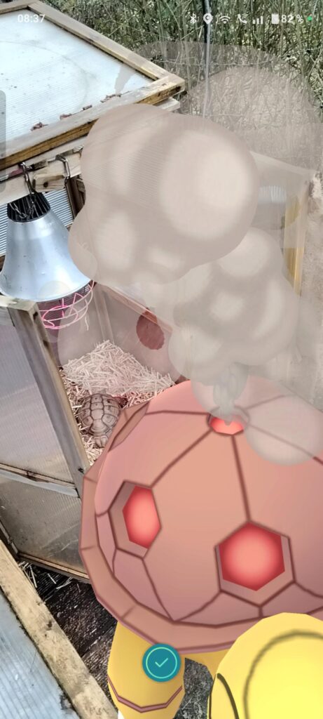 Best Forever Friend ever 😱😱😱