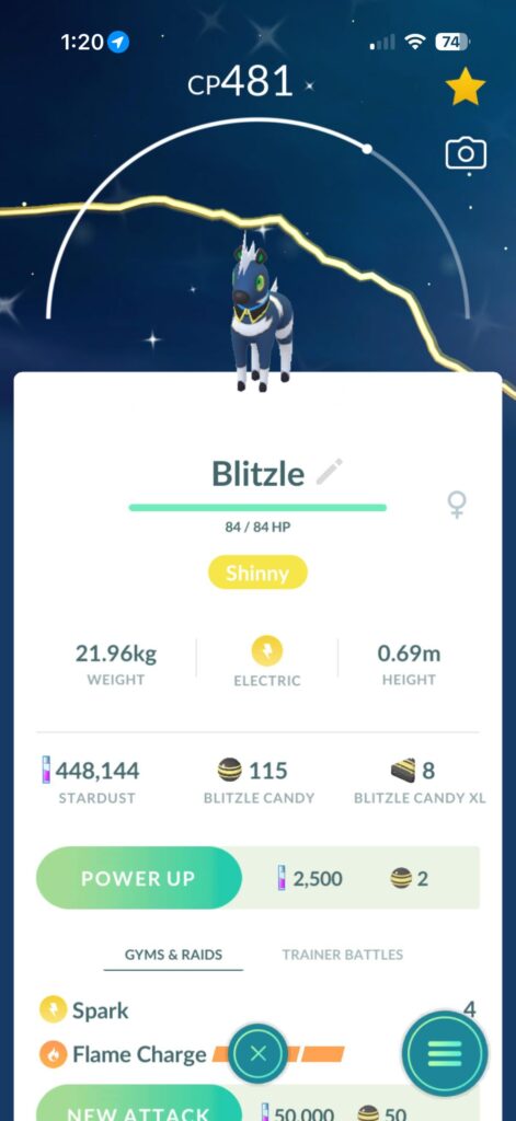 Oh yea!!! My first shiny Blitzle