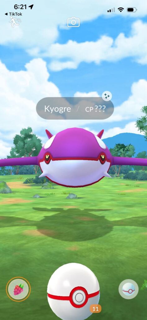 Wow.. level 17 and this was my first raid and shinny on my second account 🙏🏻