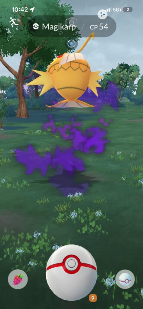 Caught a grail this morning!