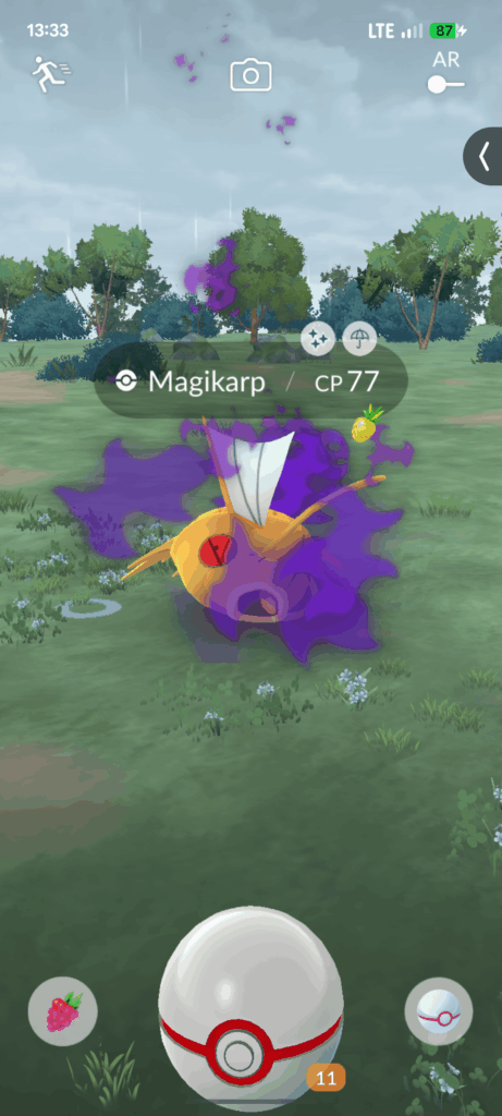 Finally Shiny Shadow Magikarp!