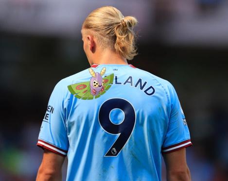 Haaaaaland