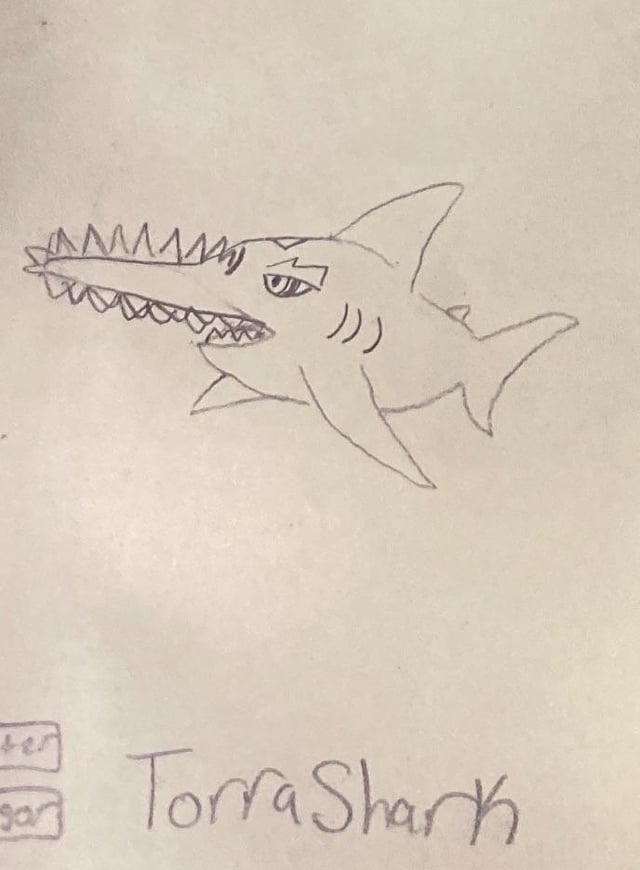 Torrashark, The Sawtooth Pokémon, Torrashark and its relatives live in deep, abyssal waters where they scavenge for food. Its powerful, razor sharp saw on its snout is able to cleanly cut rocks that may be in its path. Torrashark evolves into Abyssaw at level 30, and into Leviafang at level 55