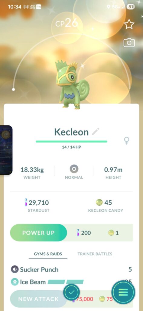 Shiny lvl 1 Kecleon