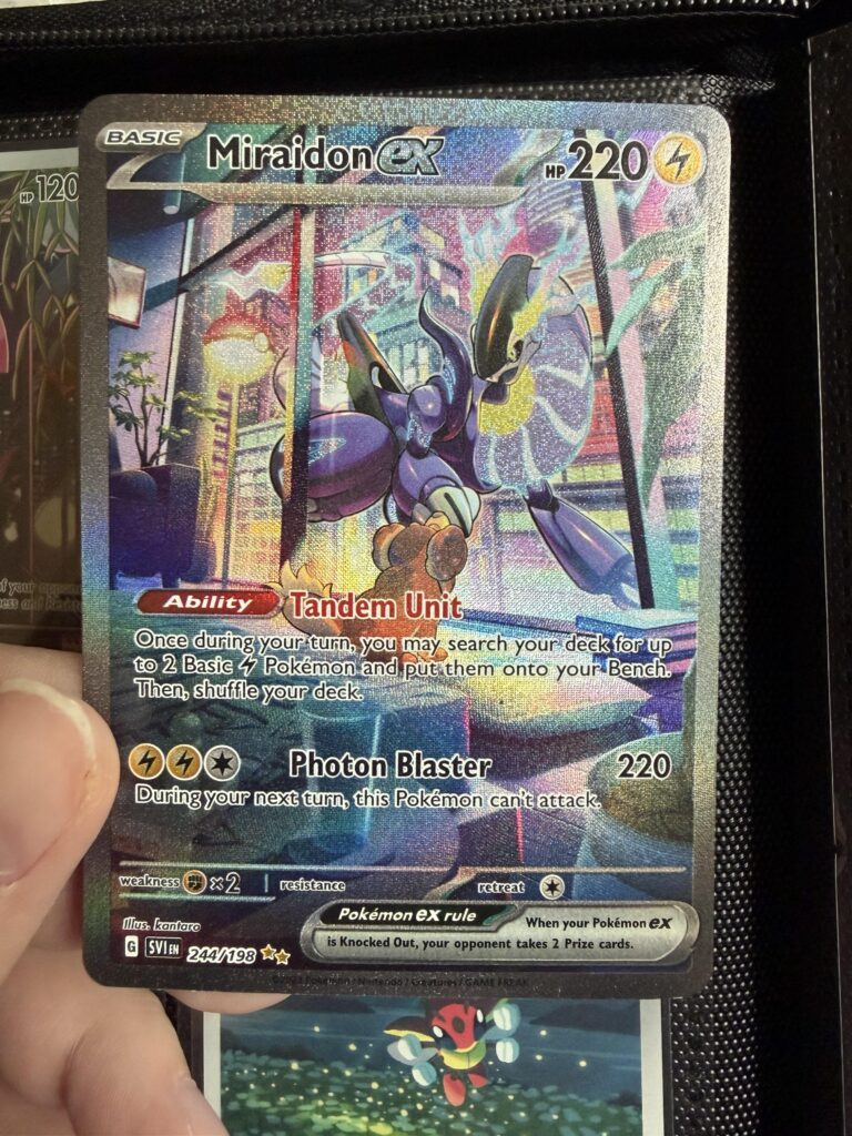 Relatively cheap yet gorgeous SIRs?