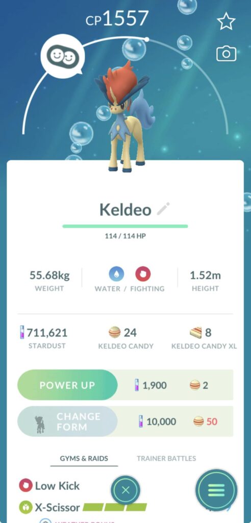 Why can’t I use rare candies?
