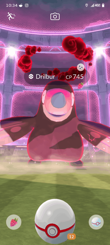 Prettyyyyyyyyyyy didn't even know shiny dynamax was a thing