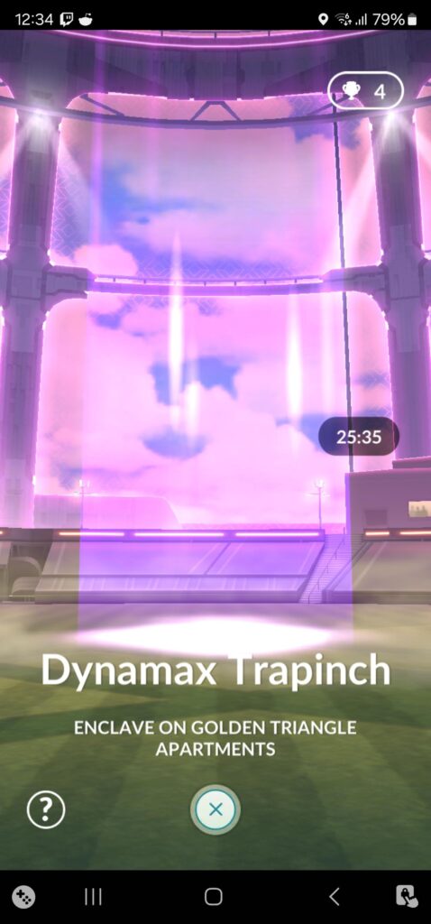 I keep trying to remote into a dynamax trapinch raid but this is the screen I get, anyone know why?