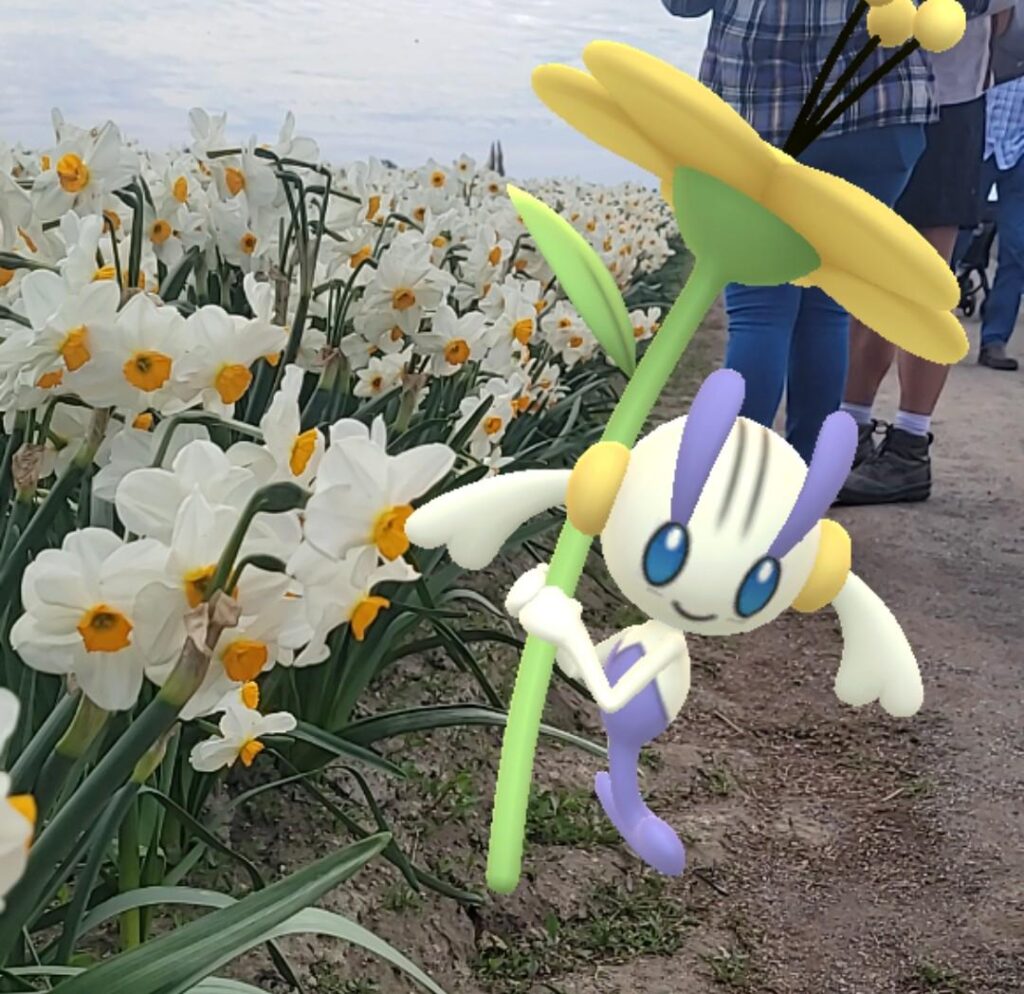 Walk in the Tulip Garden