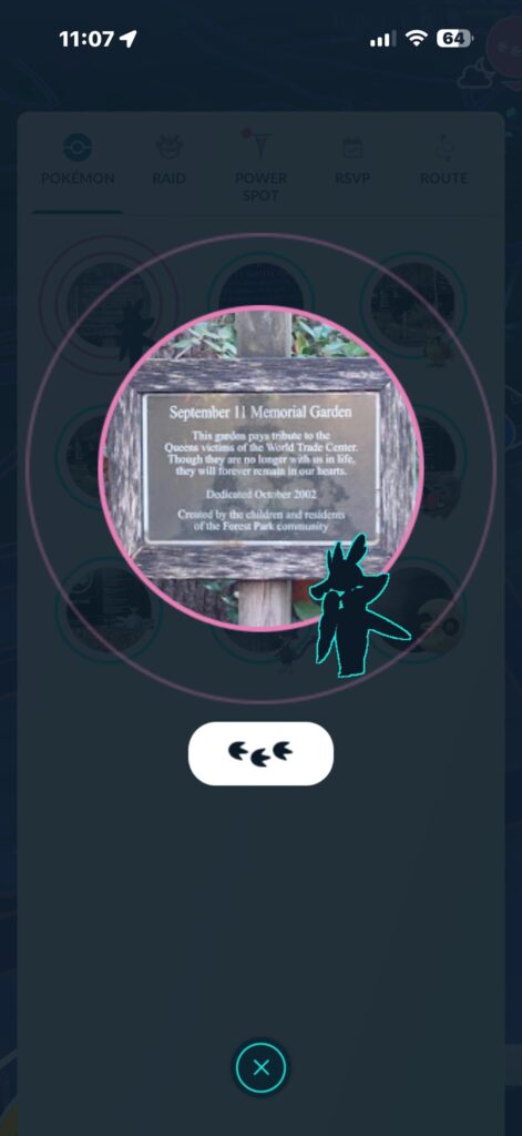Unknown pokemon?
