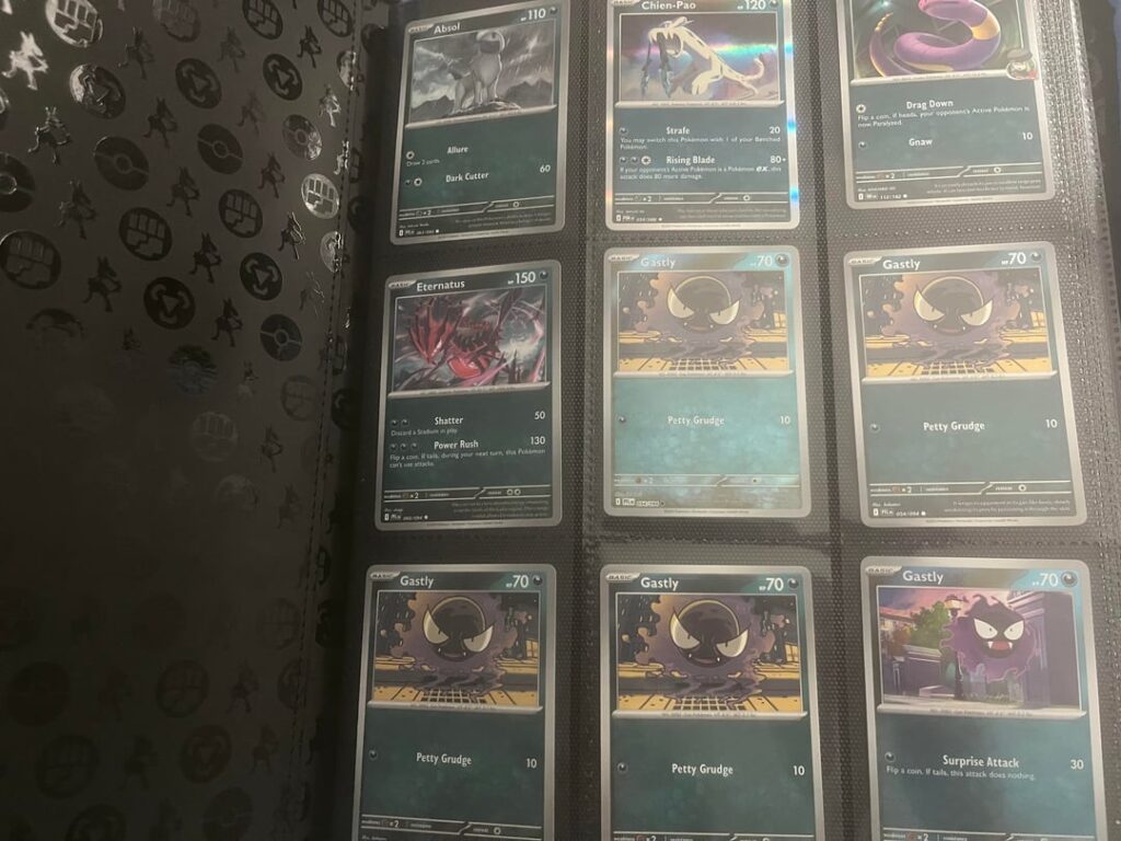 Recently got back into collecting, and I wanted to share my new binder of cards!