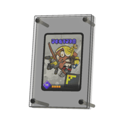 best display case for single cards, best display case for card booster packs, and best frame for holding three cases of cards, and three cases of boosters?