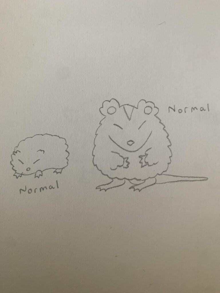 Route 1 normal type Pokémon