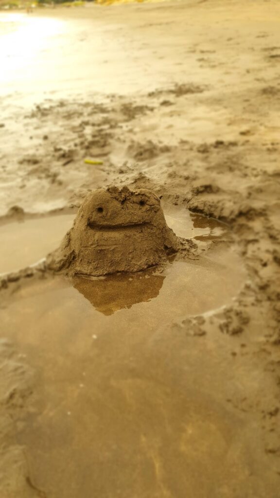 Ditto sandcastle