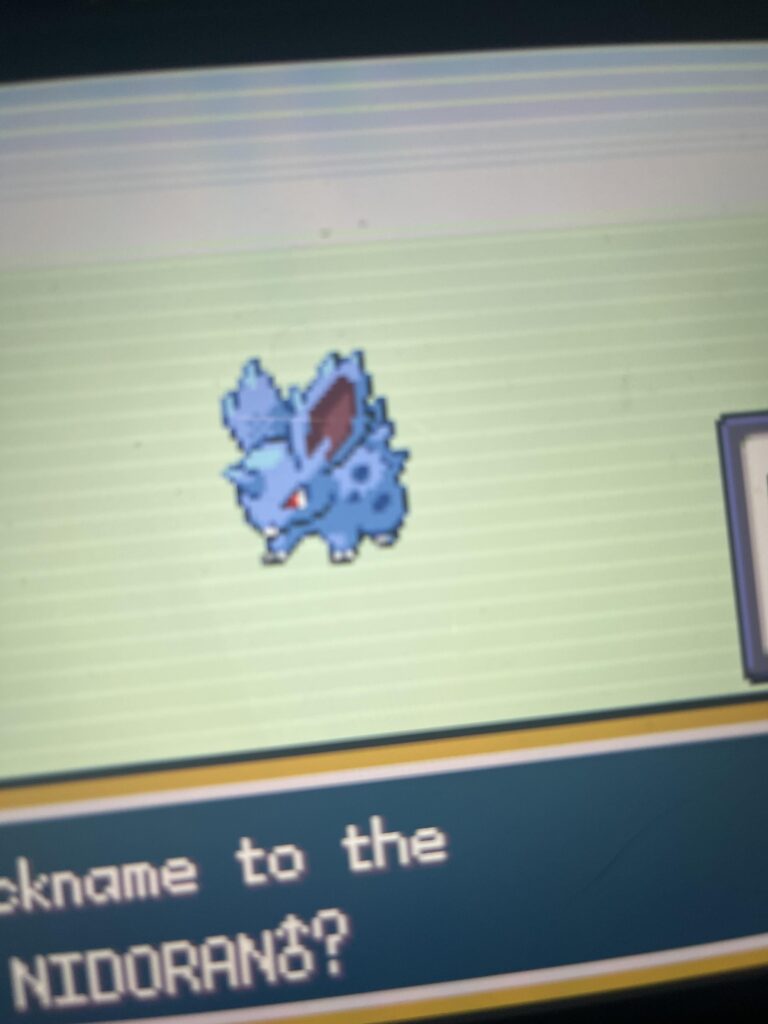 What do I name this little one