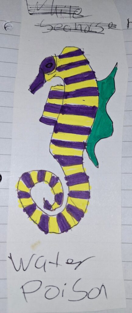 Early water type pokémon