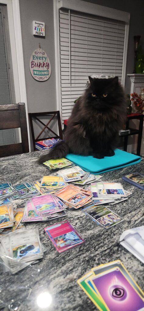 How am I supposed to work on my binder in these conditions?