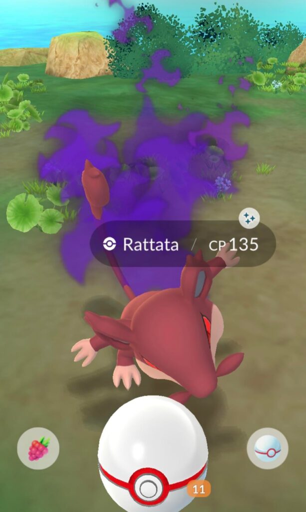 Been hunting shiny magikarp from cliff since its release with no luck. But today I got two shinies from grunts back to back….