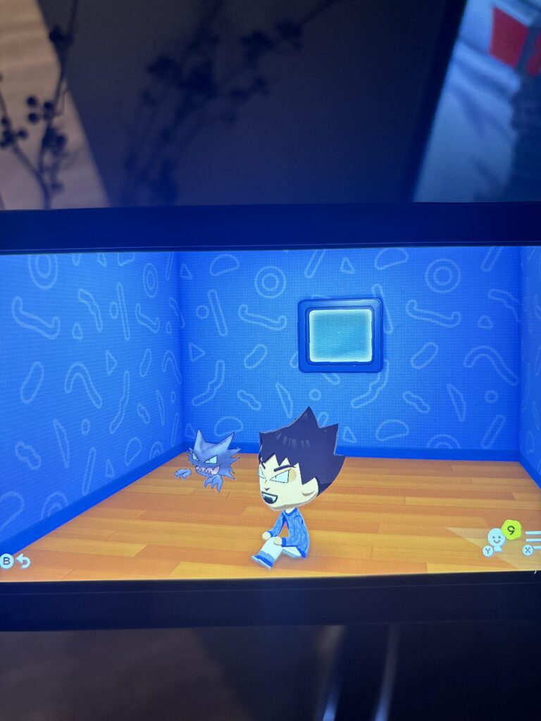 my mii and his pet i made on tomadachi life