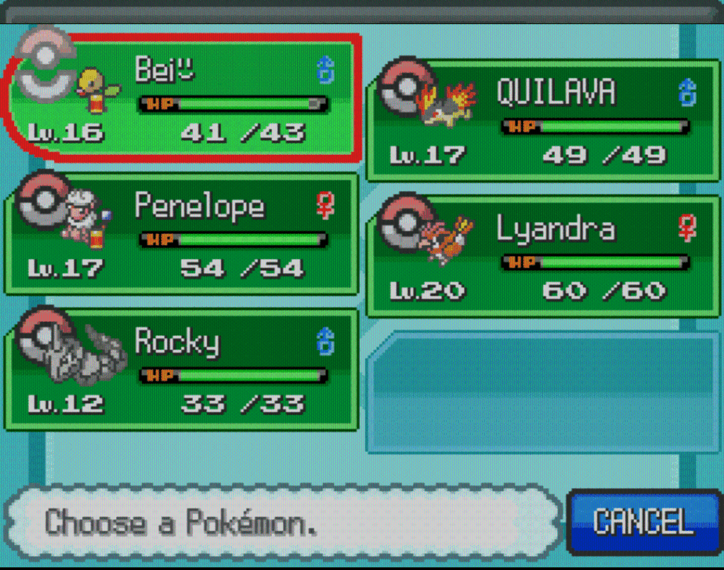 Team for Pokemon Heart Gold