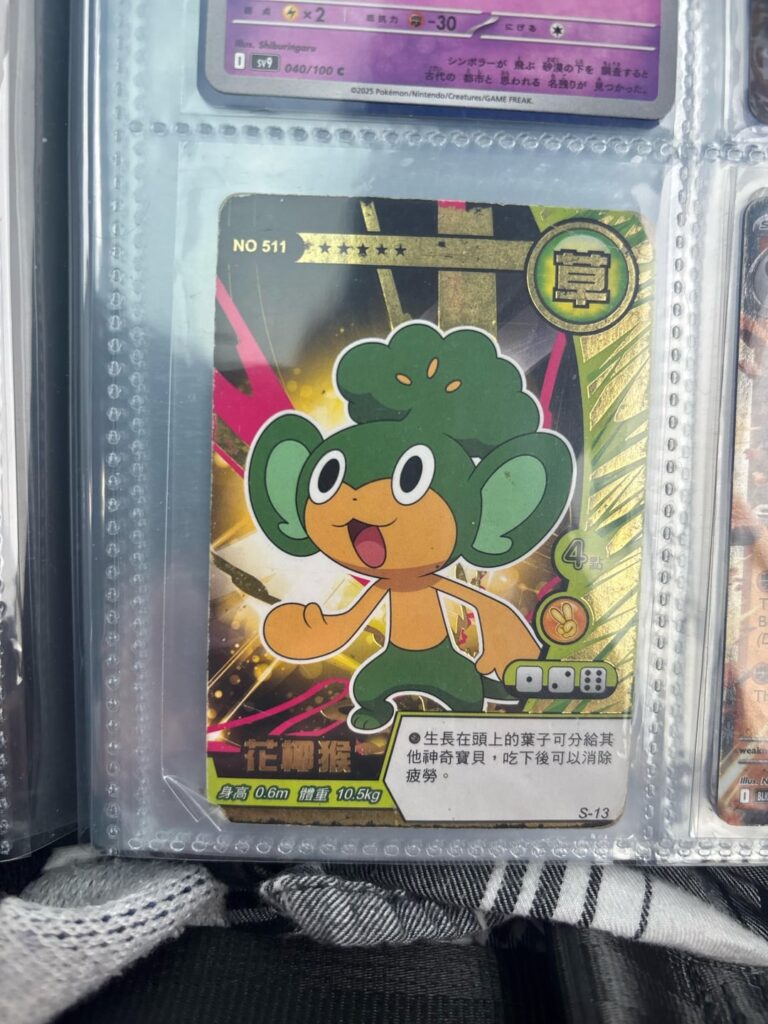 Cool pansage card, no clue what it is or what it’s from