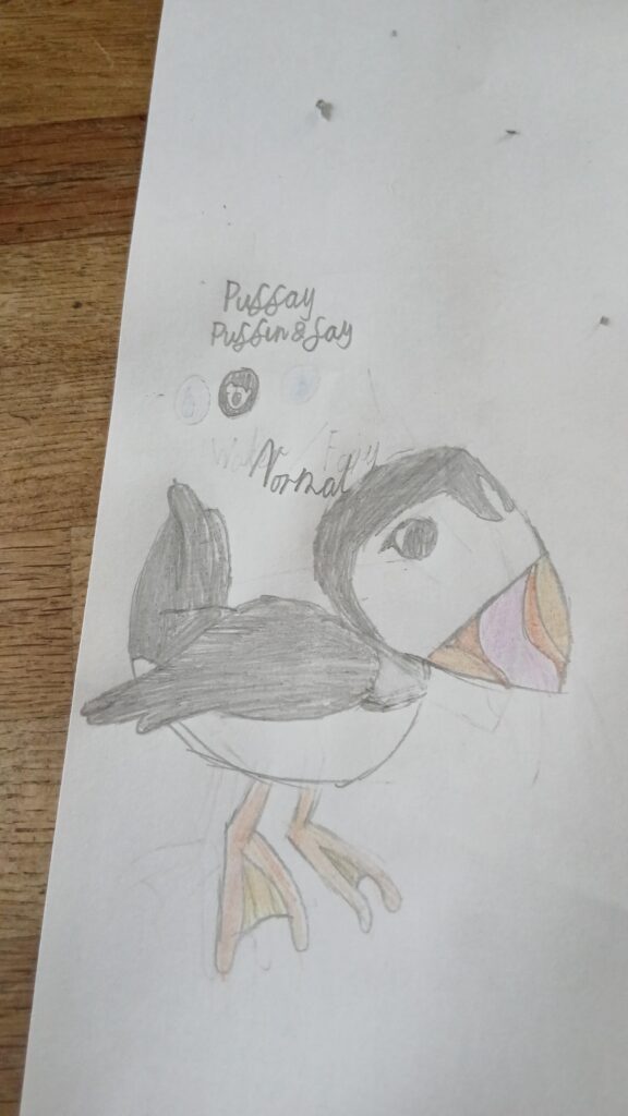 I made a puffin pokemon, Puffay