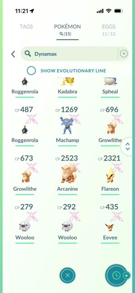 Gigantamax raids
