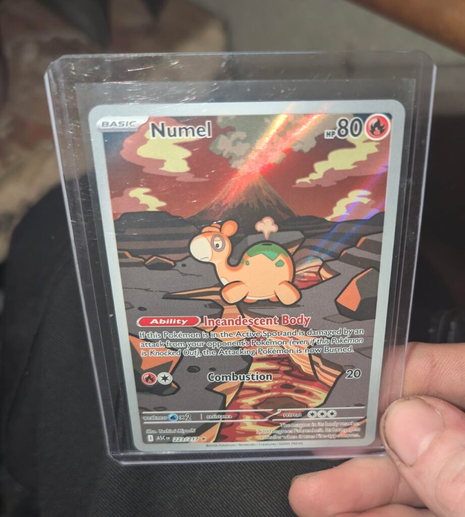Started collecting a few weeks ago and got probably the last booster box in my city
