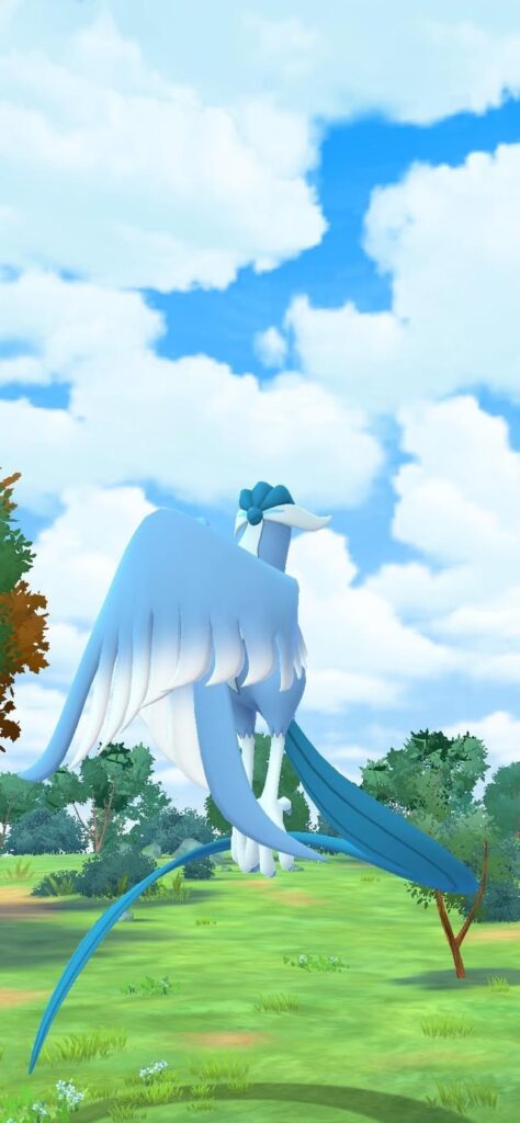 2nd ever bird encounter… ok then!