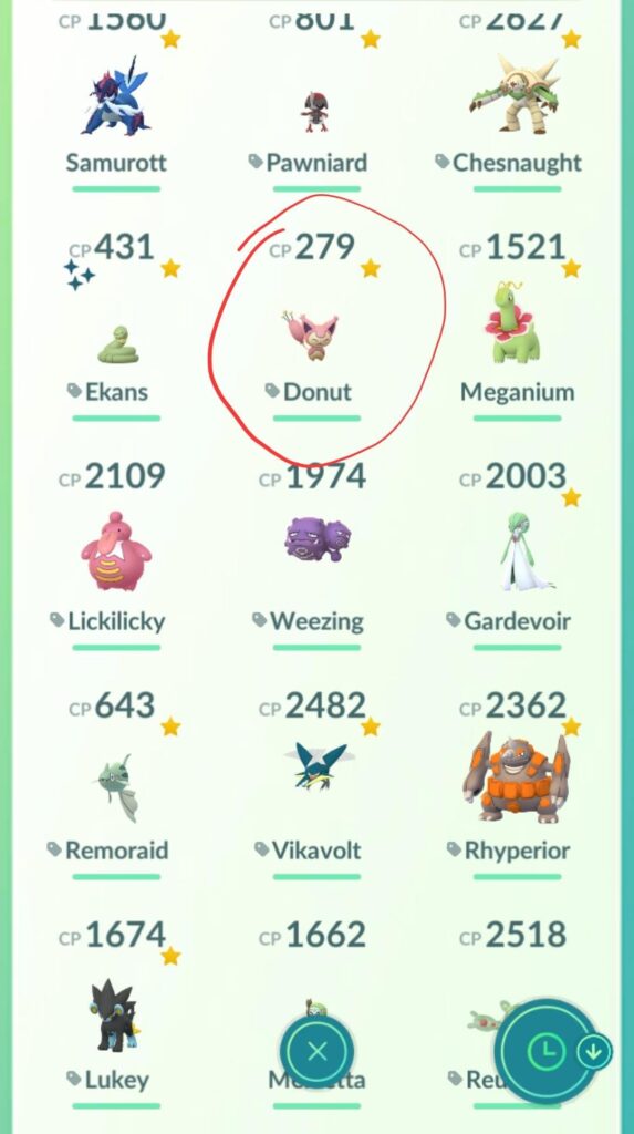 I always wondered and ik this is a useless question, but why does skitty face the other direction?