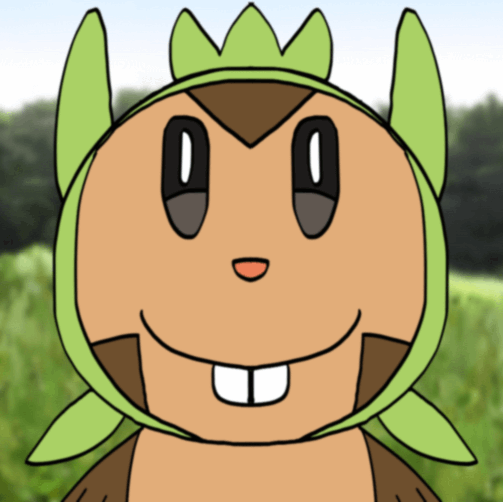 Chespin your too close to the carmara