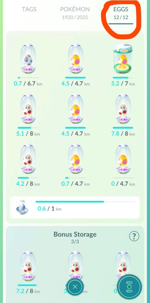 Can I increase Egg Storage??
