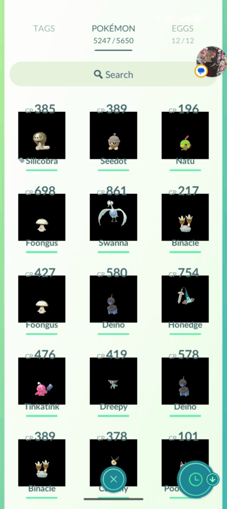 Anybody else have a bunch of missing assets on Google Pixel?