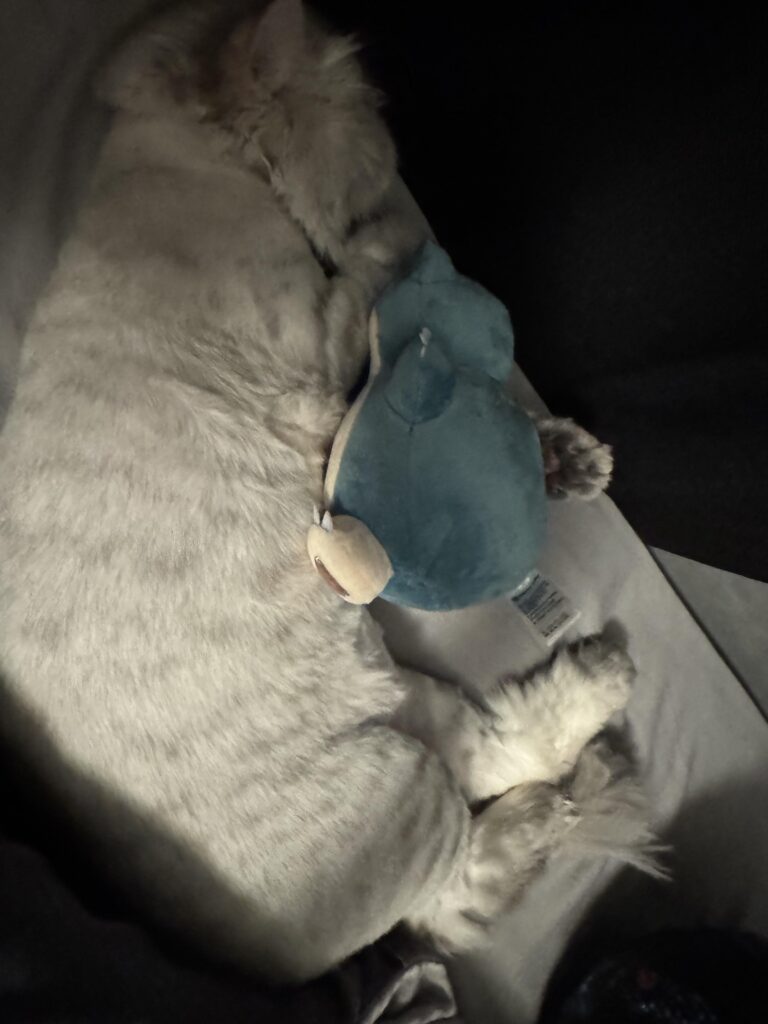 Snorlax and snorlax live action